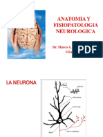 Anatomia y Fisiologia Del Sistema Nervioso1