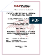 Informe 01