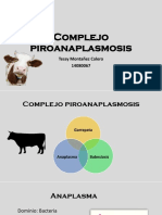 ~$mplejo piroanaplasmosis