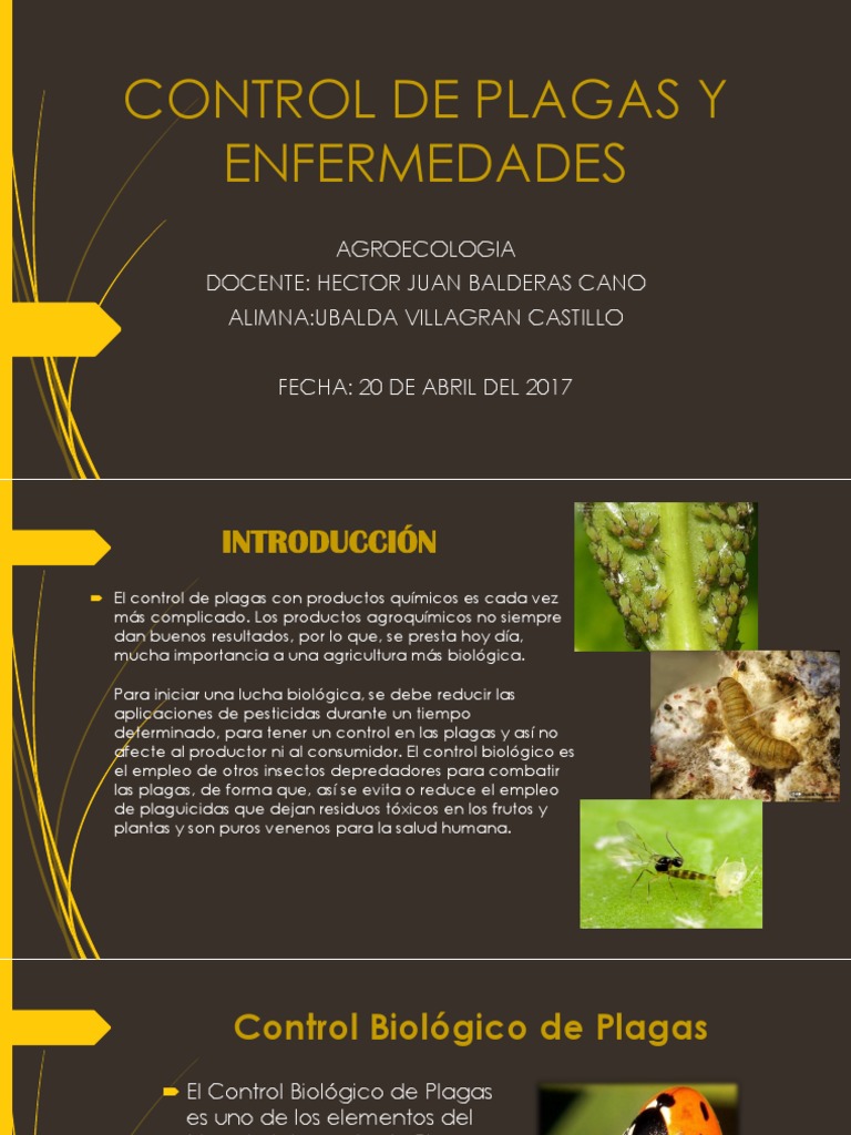 Control de Plagas y Enfermedades | PDF | Insectos beneficiosos | Pesticida
