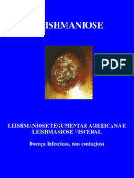 Aula 6- Leishmaniose - Cópia.pdf