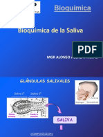 Bioquimica12 Saliva