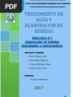 Elaboracion de Bebidas Funcionales 