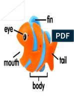 Parts of Fish