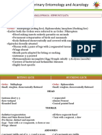 Green Template - PPT-BRL Lice