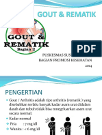 Gout & Rematik