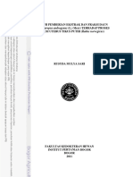 B11rms PDF