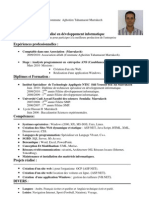 CV Technicien en Developpement Informatique