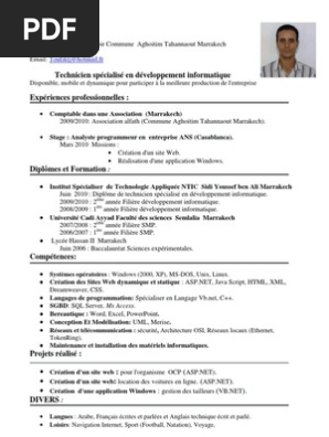 Cv Technicien En Developpement Informatique Pdf