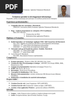 exemple cv technicien specialise en developpement informatique