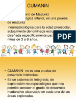 Diapositivas Cumanin