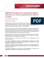 Instructivo Proyecto Grupal PDF