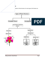 Flower Types For High School Students/ by Macalin Axmed Omaar