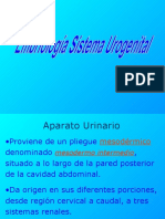 Urogenital expo.pdf