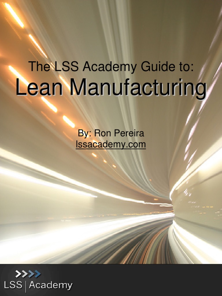 2 Lean Six Sigma Guide CH PDF | PDF | Lean Manufacturing | Quality
