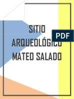 Mateo Salado FIN22AL PDF