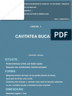 Curs - 4 - Cavitatea Bucala, Limba, Gladele Salivare