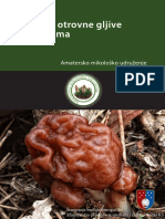 Jestive-i-otrovne-gljive-naših-šuma-AMU.pdf
