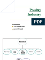 SMEDA Poultry Farm (7,500 Broiler Birds) | Poultry Farming 