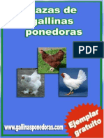 Razas Gallinas Ponedoras PDF