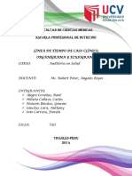 auditoria-en-salud.pdf