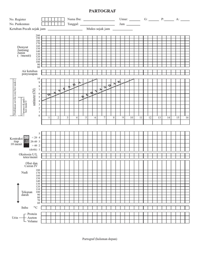 Panduan Pengisian Partograf Persalinan | PDF
