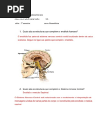 Estudo Dirigido do Sistema Nervoso Central.docx