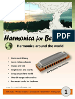 Harmonica For Beginners - Ami Luz