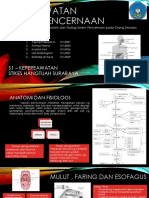 Anfis Pencernaan Dewasa & Analisis Jurnal Kelompok 7 