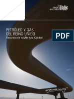Petroleo INGLAND PDF
