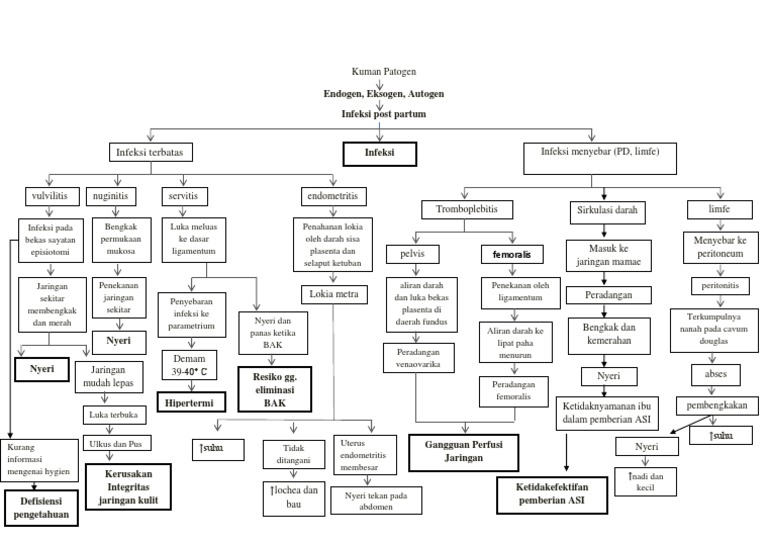 Woc Infeksi Masa Nifas