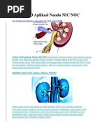 Download Askep CKD Aplikasi Nanda NIC NOC by Lin ling Benawan SN360137110 doc pdf