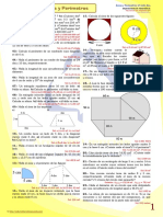 Areas Perimetros PDF