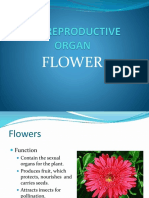 Lec 8 Plantflowers