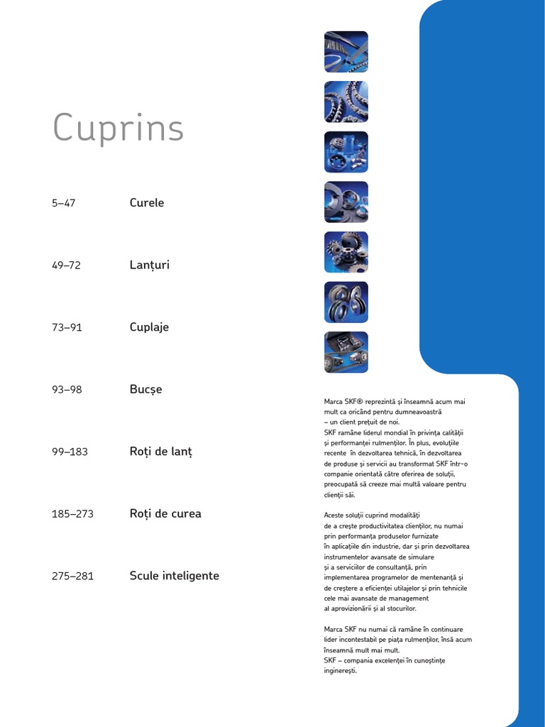 Catalog SKF PT PDF | PDF
