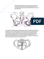 Laporan PBL 1 Reproduksi