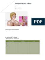 Soal Pernapasan Pada Manusia: 1. Lengkapilah Tabel Di Bawah Ini Bagian-Bagian Alat Pernapasan Manusia