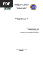 Relatório Medida Do Açucar Pronto
