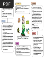 UTI - concept map  Urinary Tract Infection  Public Health