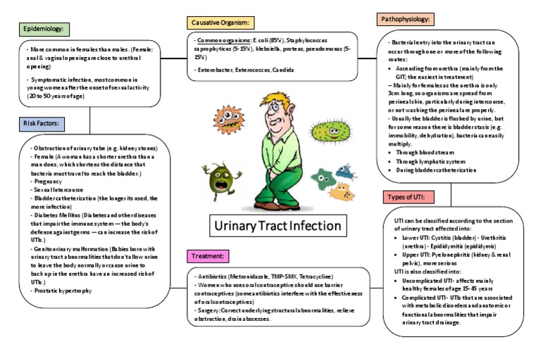 UTI - Concept Map  Urinary Tract Infection  Genitourinary System