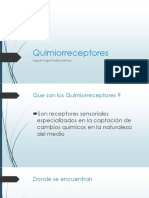 Quimio Receptores