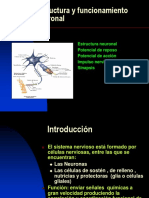 Estructura y Funcionamiento Neuronal.3 Medio