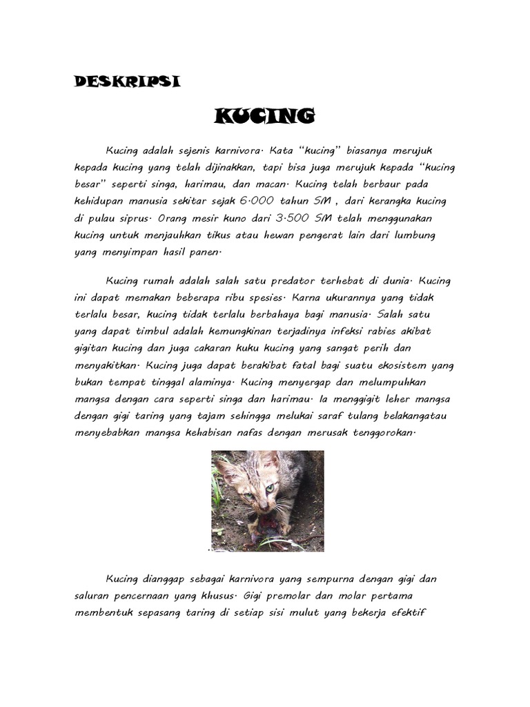 DESKRIPSI TENTANG KUCING