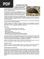 EL CHANCHITO DE TIERRA.docx