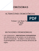 Alteraciones Cromosomicas