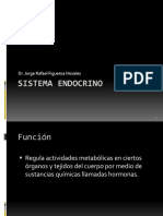 Sistema Endocrino[1]