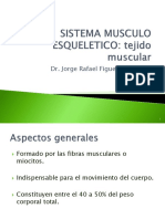 Sistema Musculoesqueletico 2