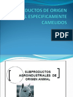 SEMINARIO Subproductos de Camelidos Sudamericanos