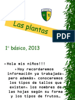 Plant As