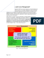 What Is Identity PDF